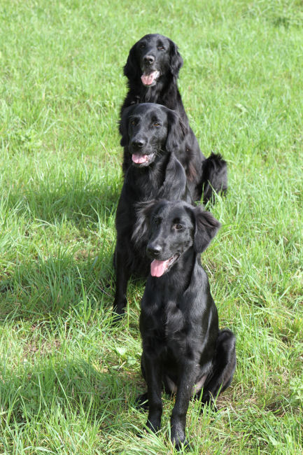 HU AC Dreierbild 2014