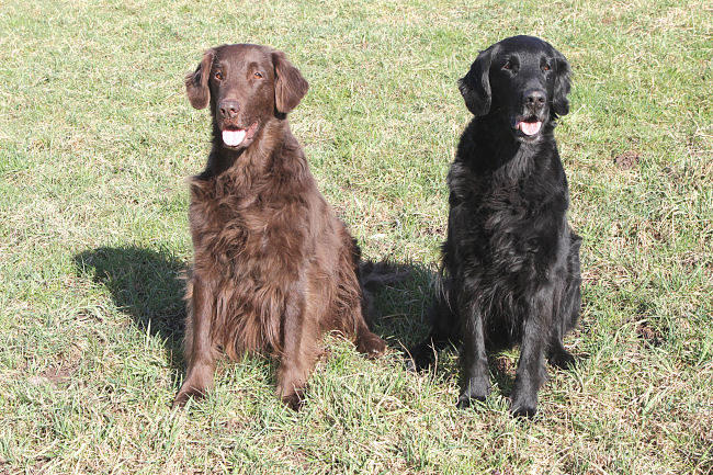 HU AC Zwei Oldies 2014