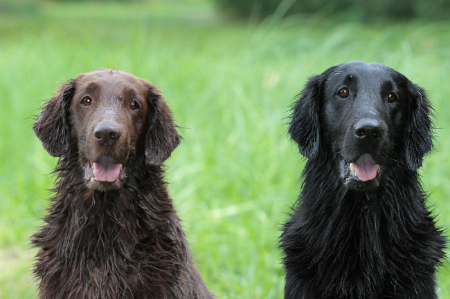 HU AL Mit Gwindo 2014