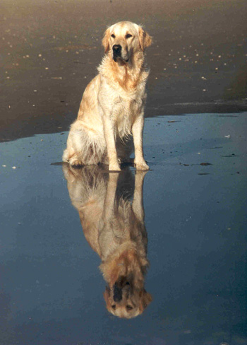 HU AY Ayleena Spiegelbild