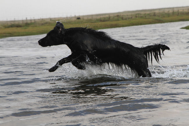 HU HI DK Wasser 2014