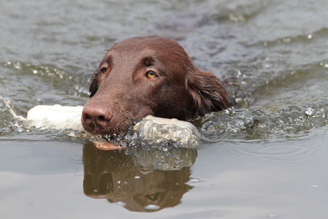 HU NI Wasserseminar1