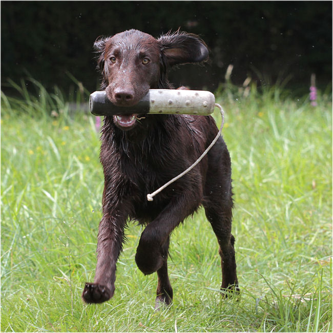 HU NI Wasserseminar2