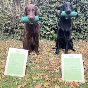 NE 25 10 Gusrtav Caruso